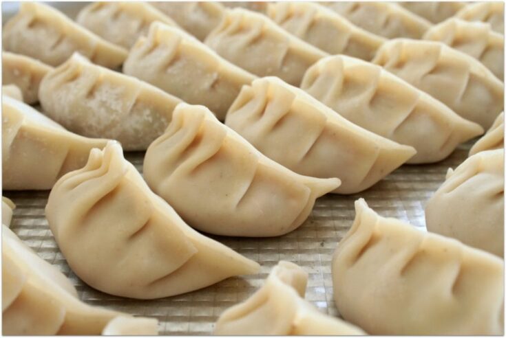 餃子/ 丸/ 腸