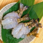 泰式虎蝦 (刺身級) (20隻) ｜ 鮮美Q彈、口感紮實、品質嚴選（急速冷凍鎖鮮、輕鬆打造餐廳級美味、海鮮控必囤必備）