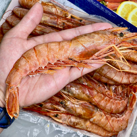 阿根廷紅蝦 (刺身級) (L1規格/2kg) ｜ 肉質軟糯、極致鮮甜、飽滿蝦膏（刺身級品質、急凍鎖鮮、海鮮火鍋/烤肉奢華首選、聚會必備）